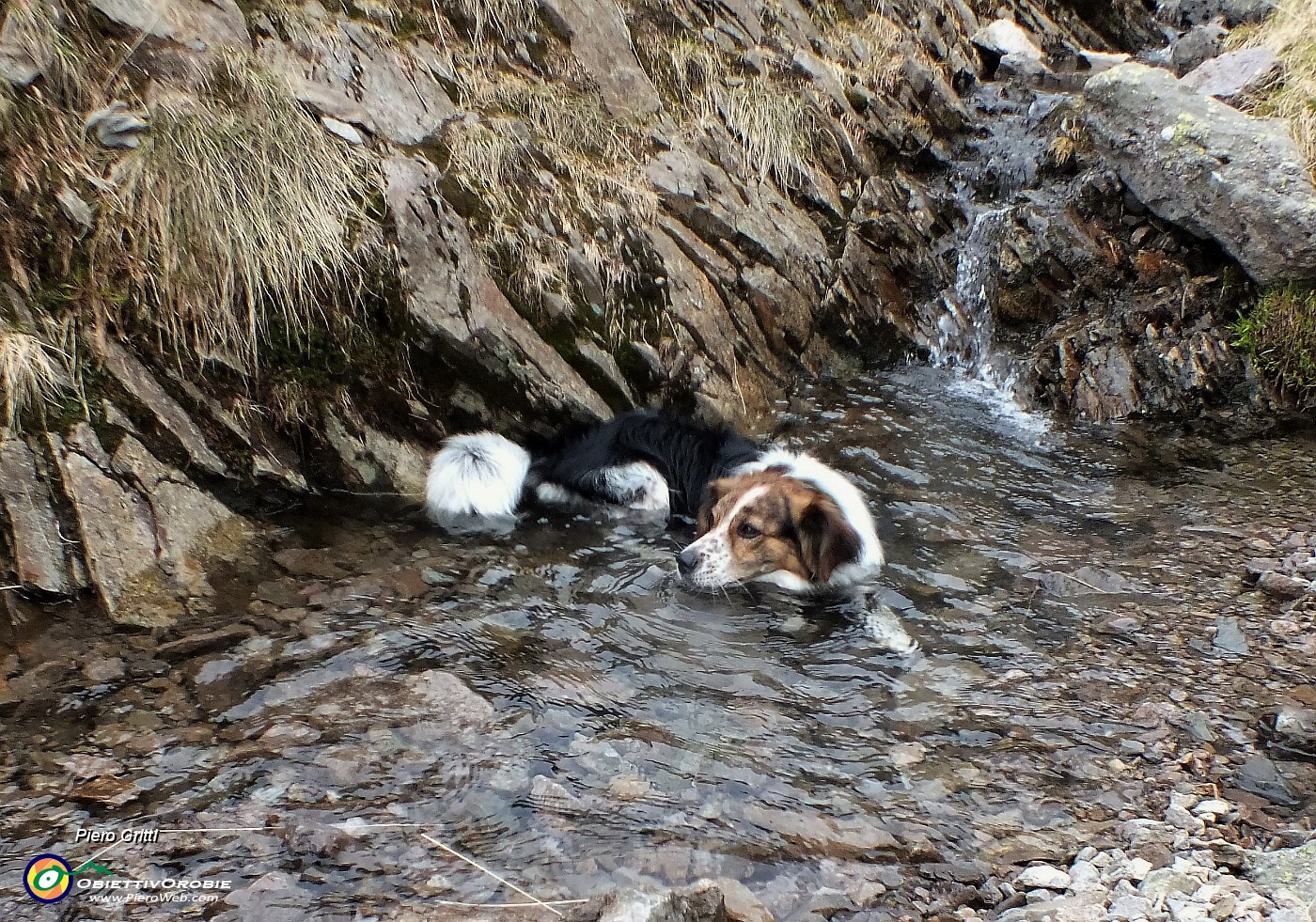 05 Con la compagna d'escursione a quattro zampe Nika.JPG